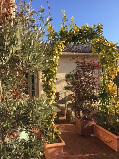 Bed and Breakfast Domaine Le Bois Des Dames Chantemerle-lès-Grignan Exterior foto