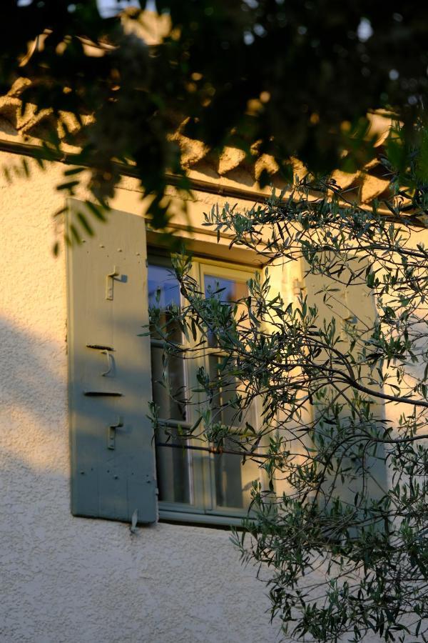 Bed and Breakfast Domaine Le Bois Des Dames Chantemerle-lès-Grignan Exterior foto