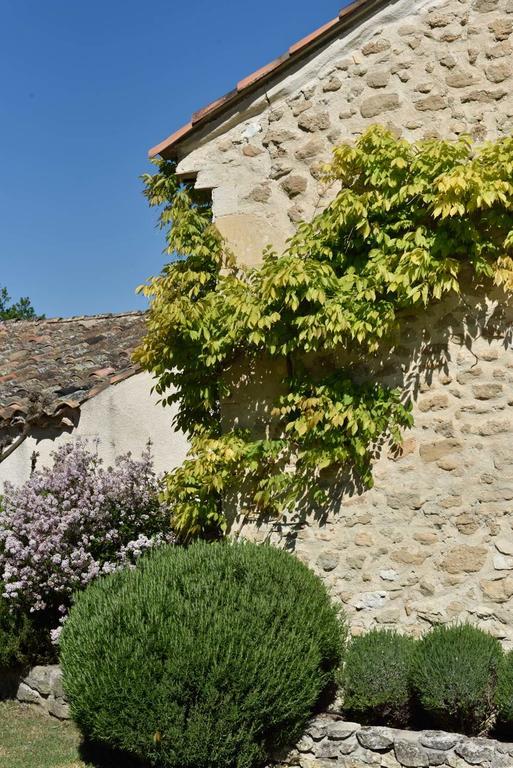 Bed and Breakfast Domaine Le Bois Des Dames Chantemerle-lès-Grignan Exterior foto