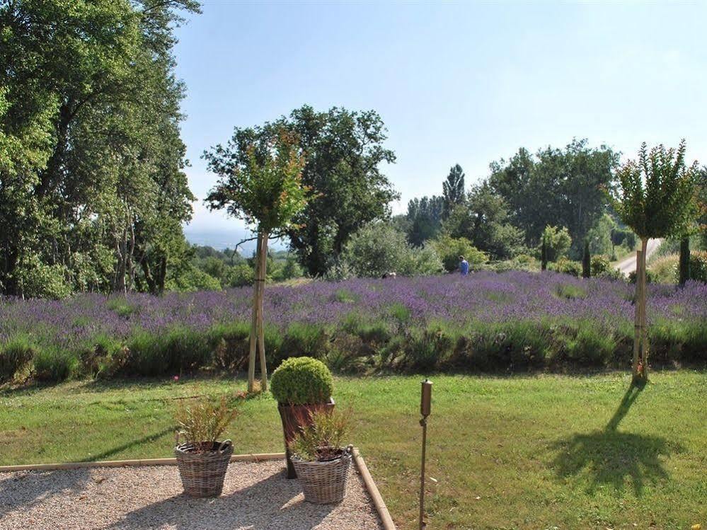 Bed and Breakfast Domaine Le Bois Des Dames Chantemerle-lès-Grignan Exterior foto